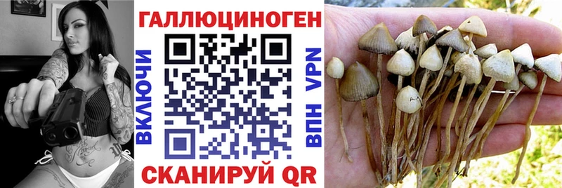 OMG ссылки  купить закладку  Гулькевичи  Галлюциногенные грибы GOLDEN TEACHER 